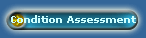 Condition Assessment